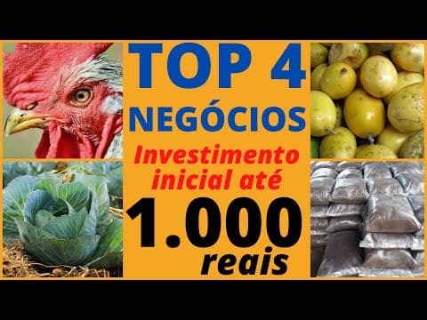 TOP 4 NEGÓCIOS para CHÁCARA ou QUINTAL por MENOS de R$ 1.000,00. Retorno em 3 meses.